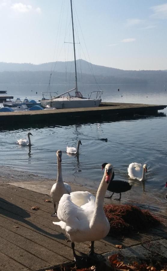 Appartamento Doppi Bagni Sei Posti Letto Viverone Exteriör bild