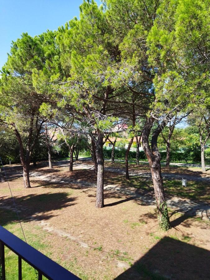 Appartamento Doppi Bagni Sei Posti Letto Viverone Exteriör bild